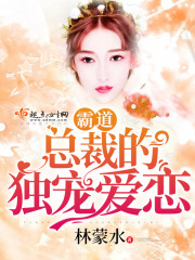 霸道总裁的枕上宠爱
