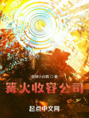 篝火收容公司 无错