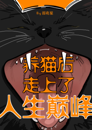 养猫后走上人生巅峰书包网