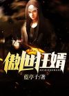傲世狂婿小说