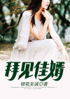 小说 拜见女婿大人