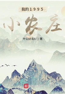 我的1995小农庄无防盗