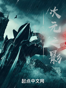 全职法师:次元之影起点