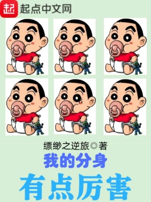我的分身有点多 小说