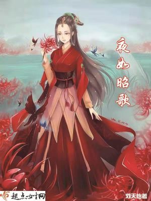 夜如歌小说