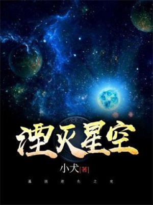 湮灭星空 小说