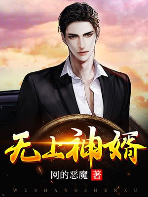 无上神婿全文免费阅读