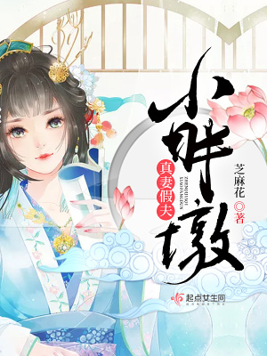 假夫假妻 小说