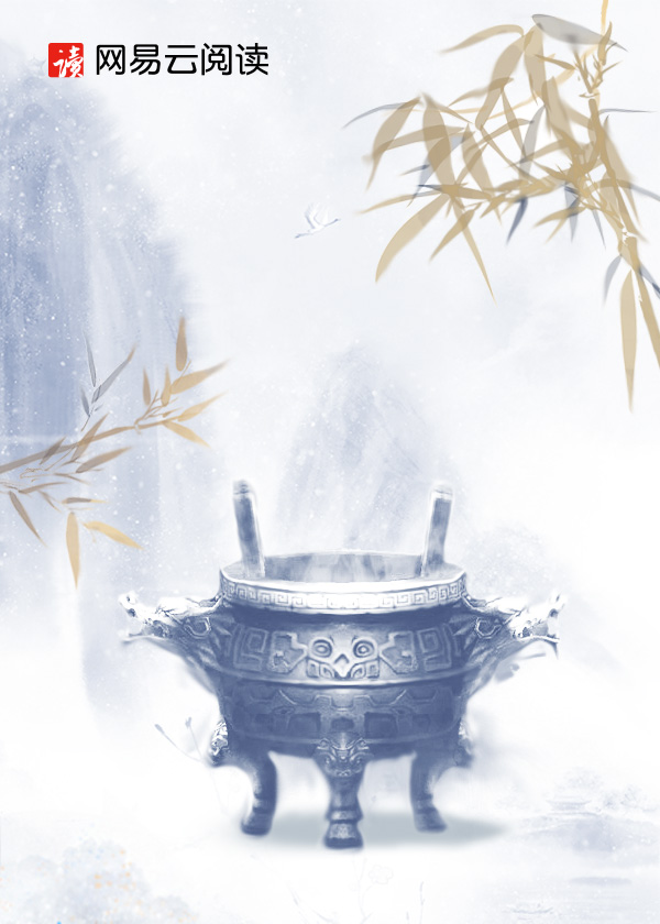 上盐店民兵 小说