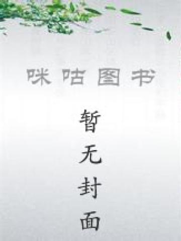 最后一个葬魂师 小说