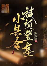 小县令被迫登基(基建)临西州