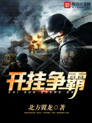 胖可争霸怎么开