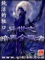 异界之暗黑全职者下载