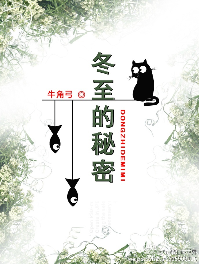 冬至的秘密小说