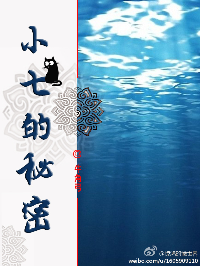 小七的秘密简介