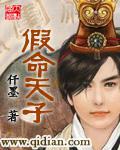假命天子百度百科