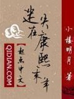 迷失在康熙末年小说