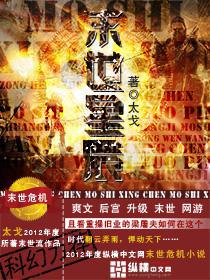 末世星辰级,日耀级小说