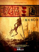 数据三国小说
