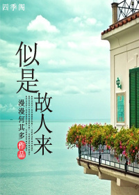 似是故人来电视剧免费观看