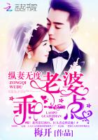 纵妻无度老婆乖一点全文免费