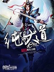 纯阳大道百度网盘