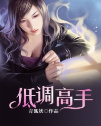 低调高手 小说