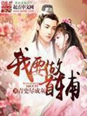 我要做首辅TXT下载
