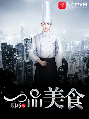 一品美食小说
