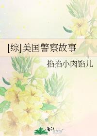 综美国警察故事小说