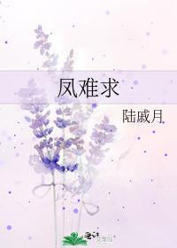 凤难求全文免费阅读
