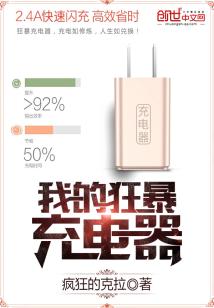 我的狂暴充电器 小说