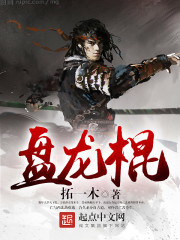 盘龙棍魂技