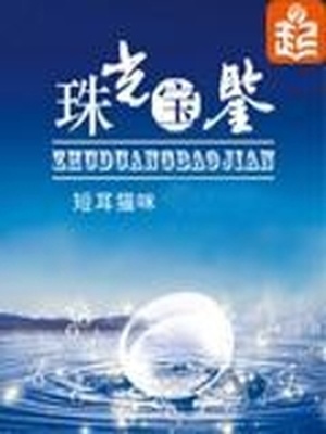 珠光宝鉴类似的现代小说