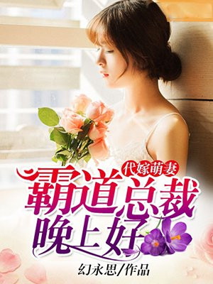 霸道总裁小萌妻小说