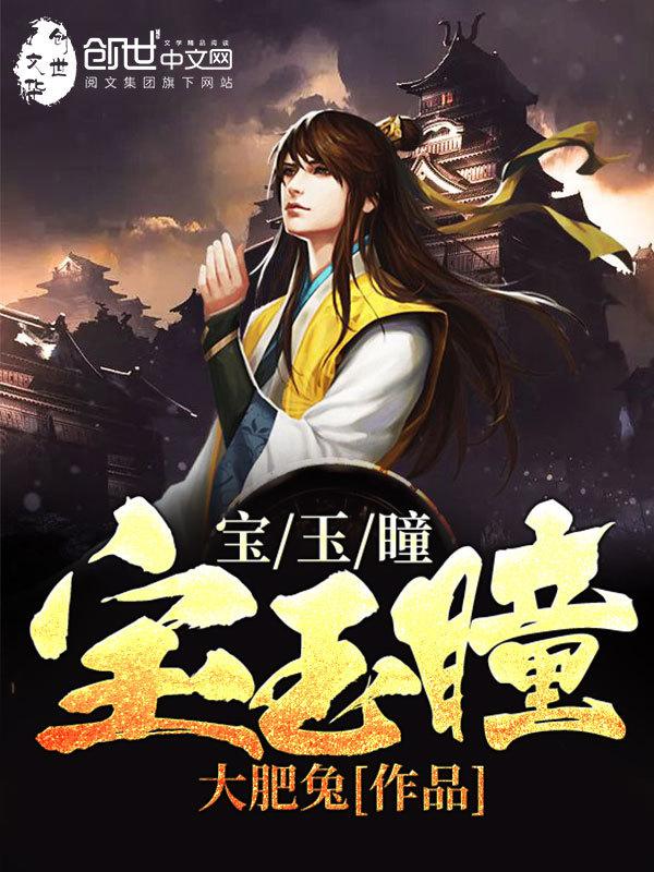 宝玉瞳小说