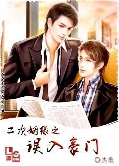 二次婚姻 全文