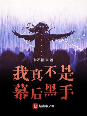 我真不是幕后黑手起点