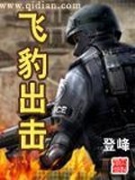 飞豹出击精校版TXT下载