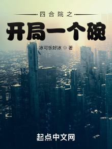 四合院开局一个碗的小说