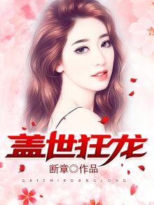 罗宾程思伊是什么书名,盖世狂龙