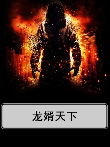 龙婿天下