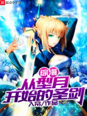 综漫从型月开始的圣剑 入帘