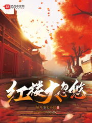 红楼之赦大少