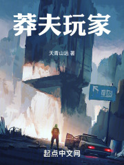 莽夫玩家笔趣阁
