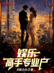 专业高手全本