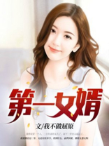 第一赘婿
