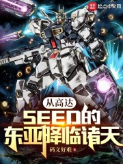 高达seed从天而降第几集