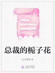 总裁的罂粟前妻