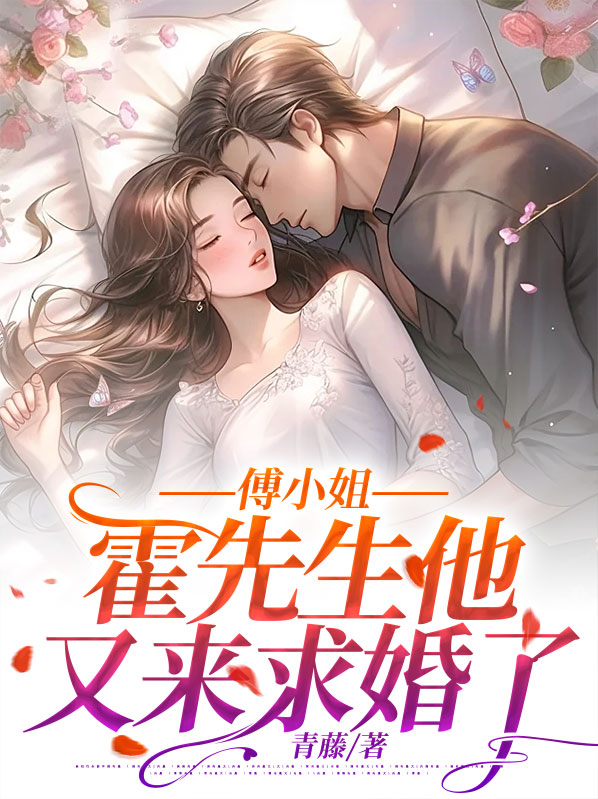 傅先生的陆小姐